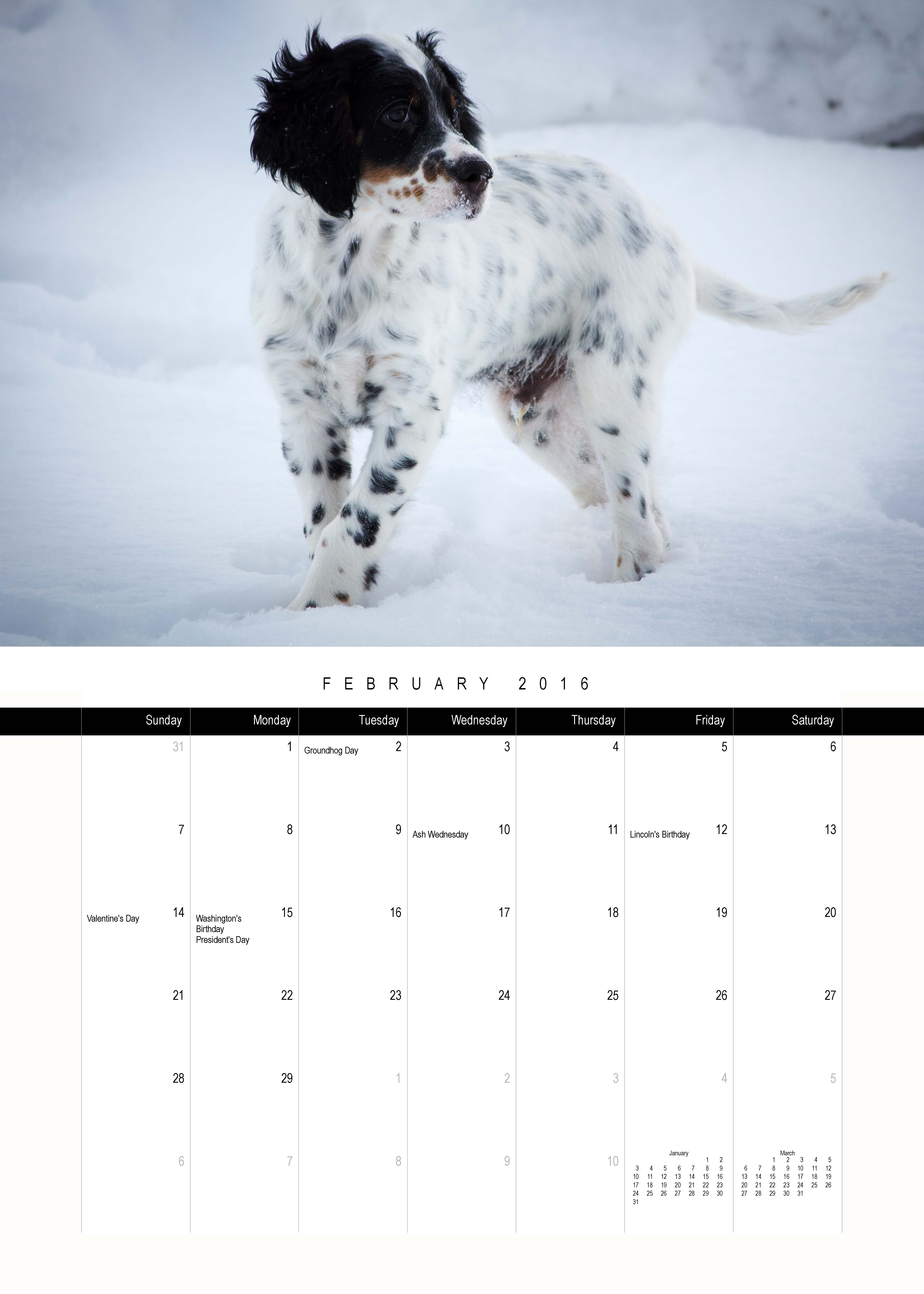 February 2016 Laurel Mt Llewellin Setters Puppy Calendar