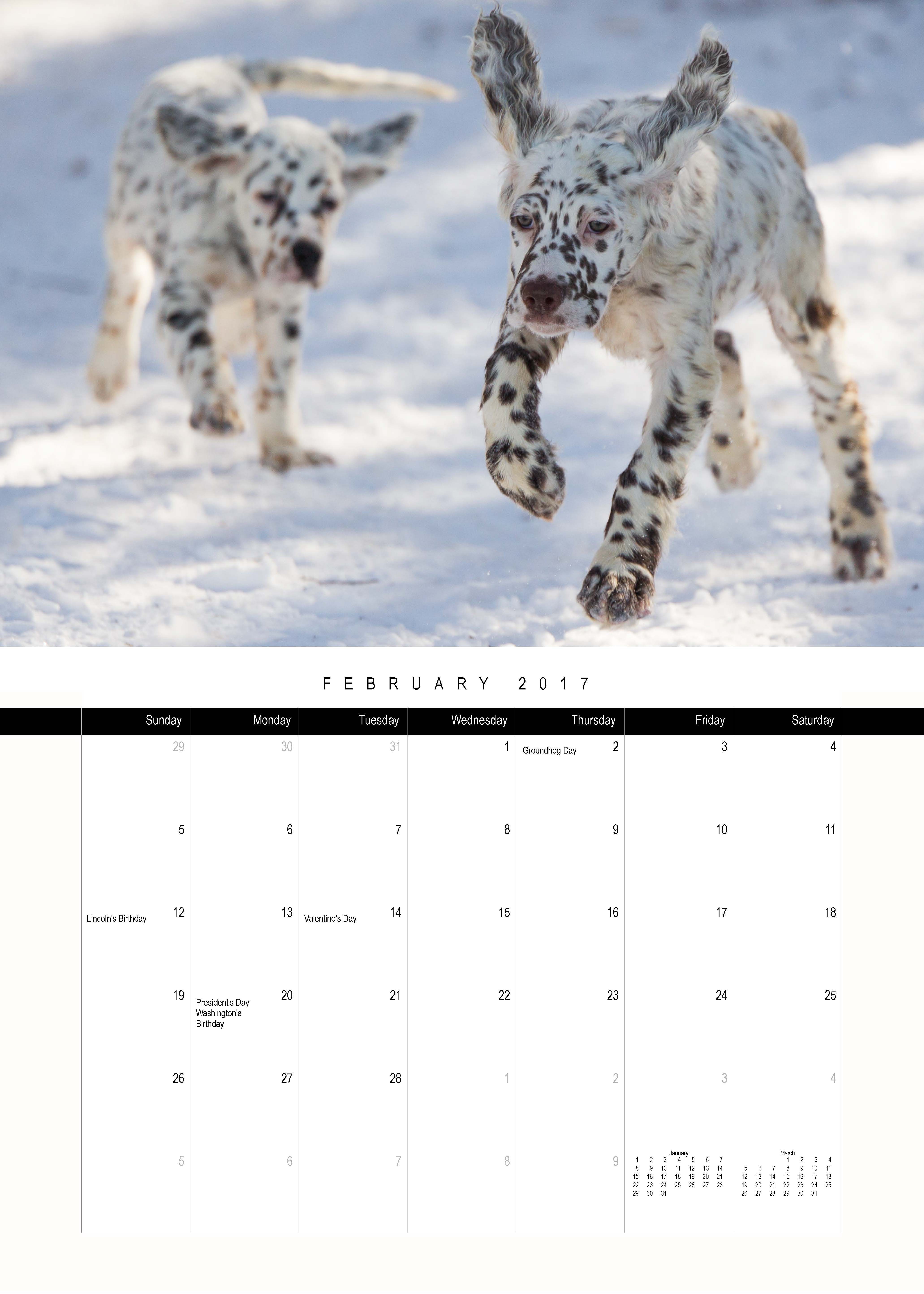 February 2017 Laurel Mt Llewellin Setters Puppy Calendar
