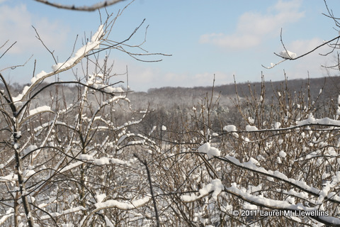 Snowy Day