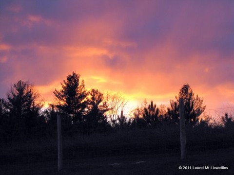 Sunsetting in the Northwoods