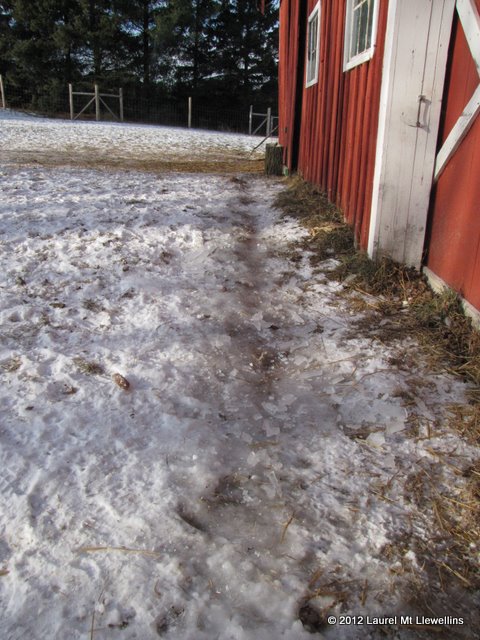 Ice in front of the barn
