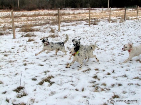 Having fun in the snow!