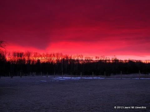 Red in the Morning...