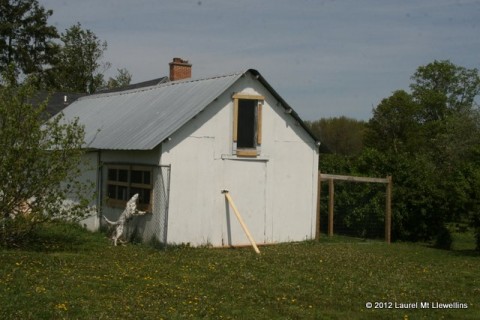 Poultry Shed