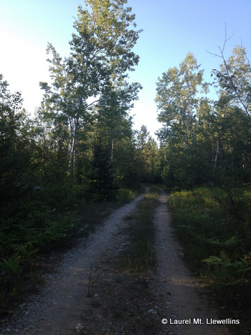 Exploring the Northwoods