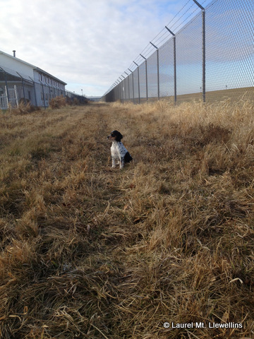 Jagger having a big run before leaving for his flight.