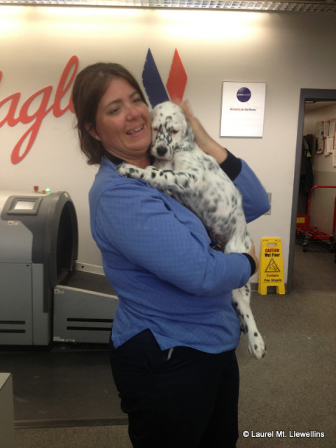 Ely getting lovin' at by the American Airlines employess. :)