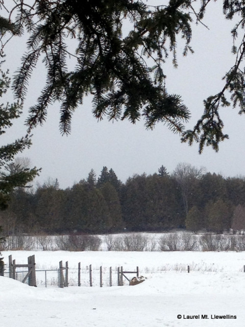 Winter hanging on in the Northwoods