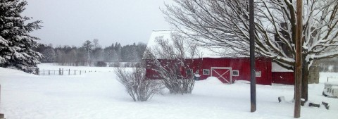 March 19th, 2013 in the Northwoods