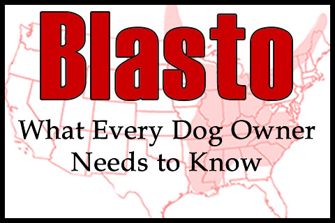 Blastomycosis: What Every Dog Owner Needs to Know