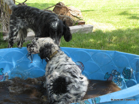 Luka knows how to cool off