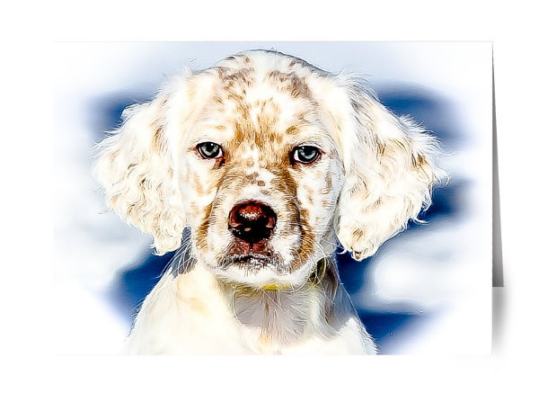 Llewellin Setter Puppy Notecards