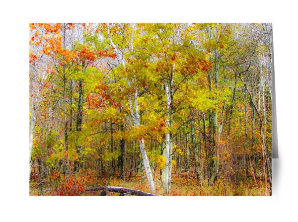 upland-woods painted note card