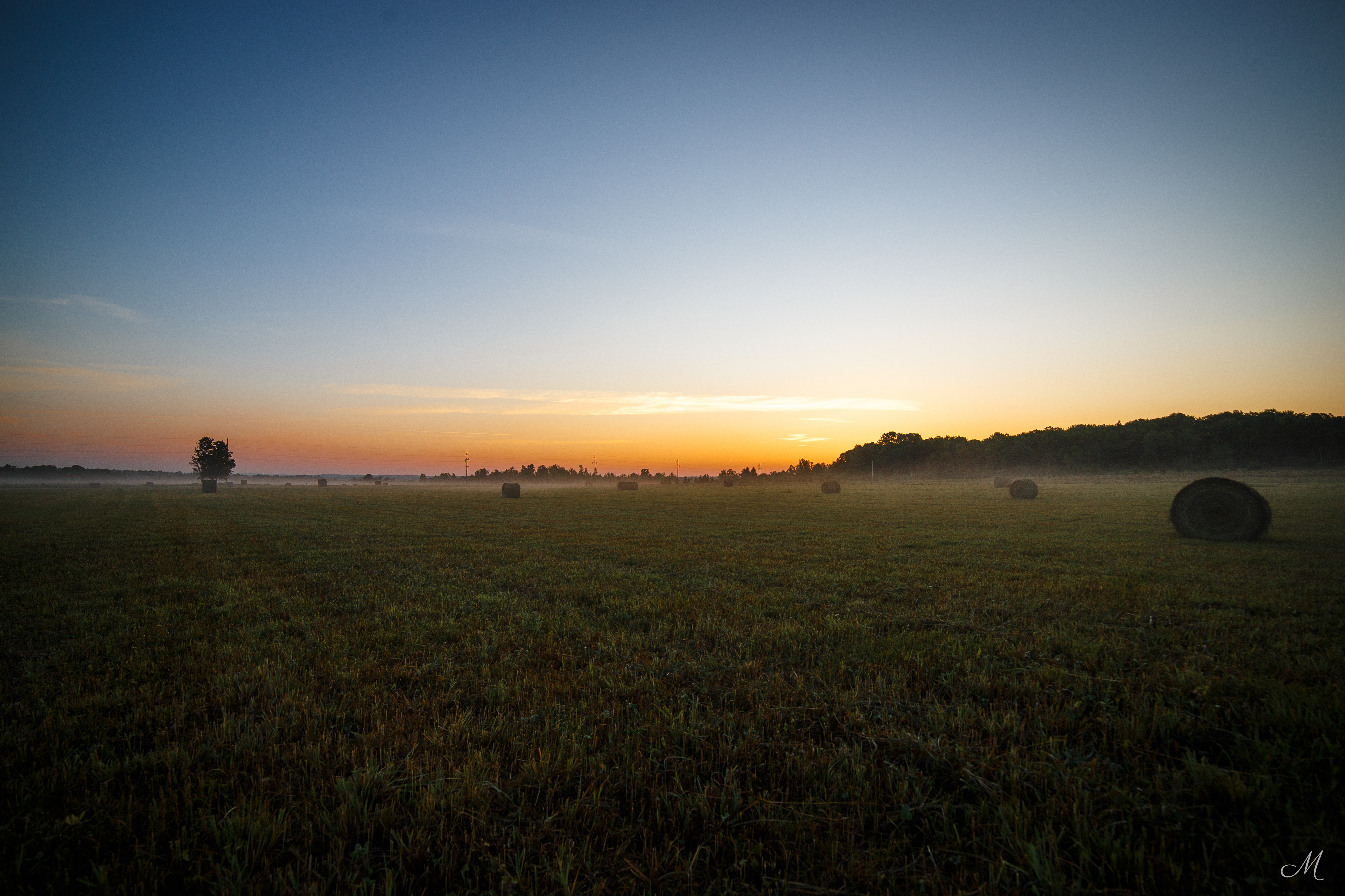A foggy morning sunrise looking over our fields and woods where our Llewellins will soon be running!
