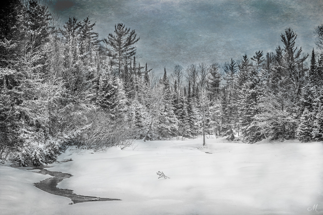 Northwoods Winter Scene