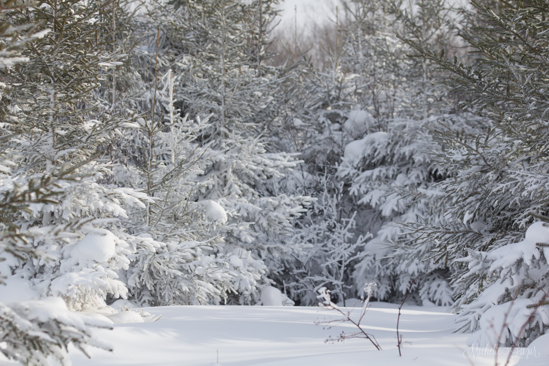 Our wintry world in the UP