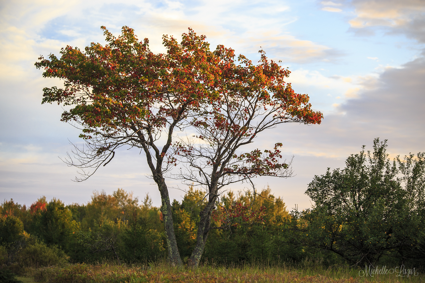 The colors of Autumn 20150928-_MG_2211