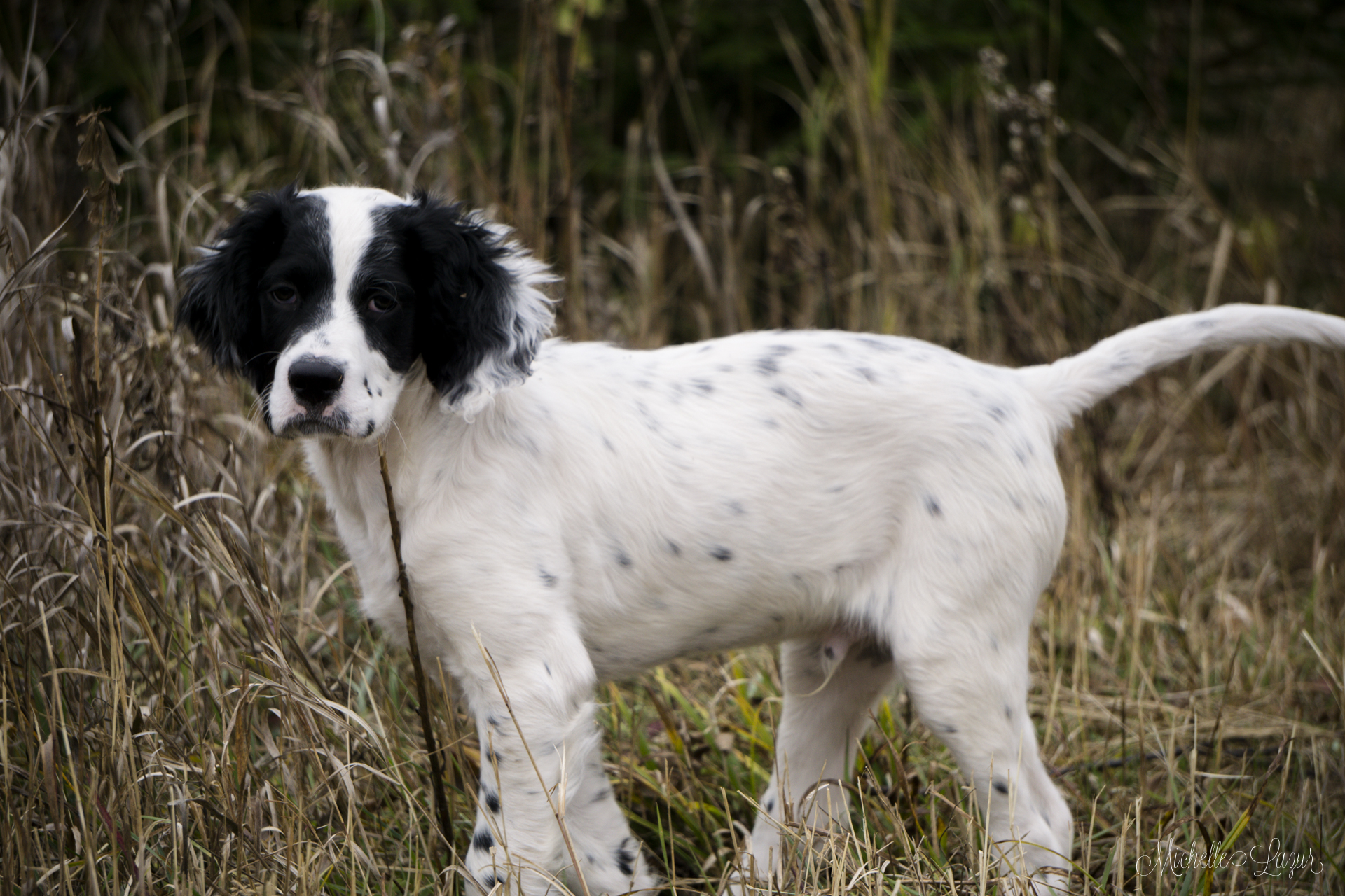 Maker (Tori x Steele) Available 20151023-_DSC0061