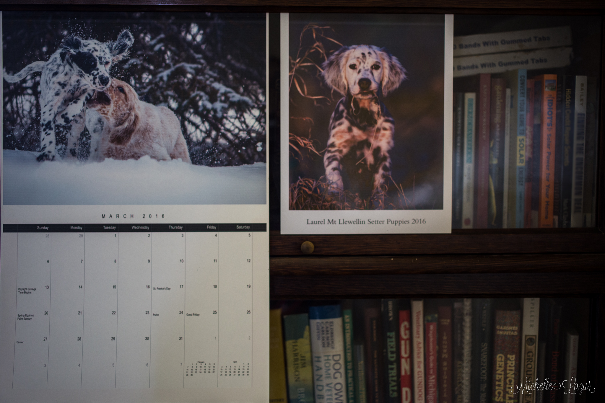 Prints from the downloadable pdf version of the 2016 LML Puppy Calendar