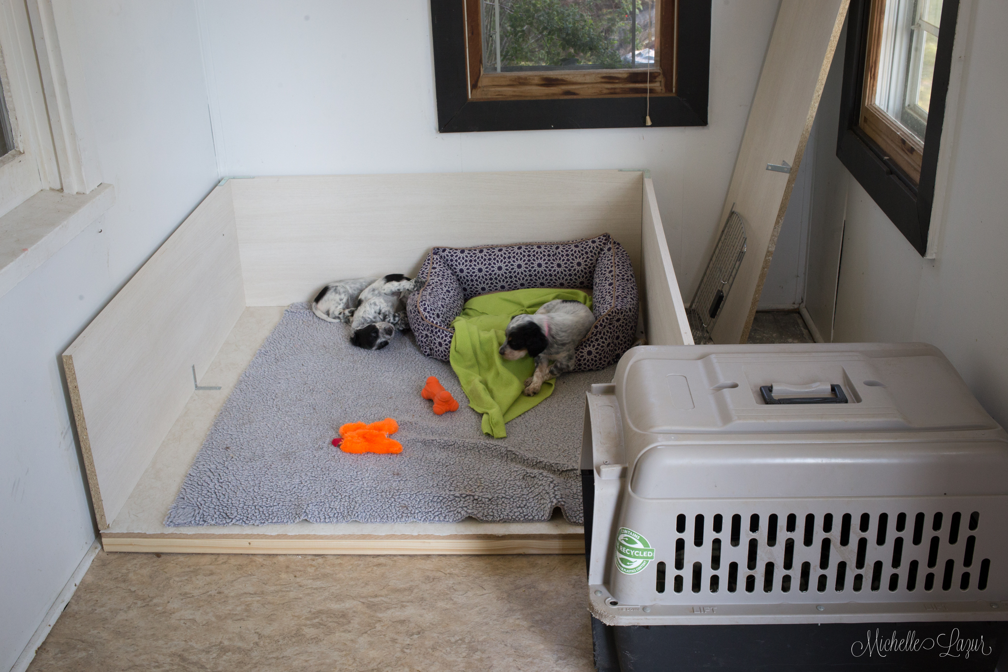 The Little Blessings in their puppy room.