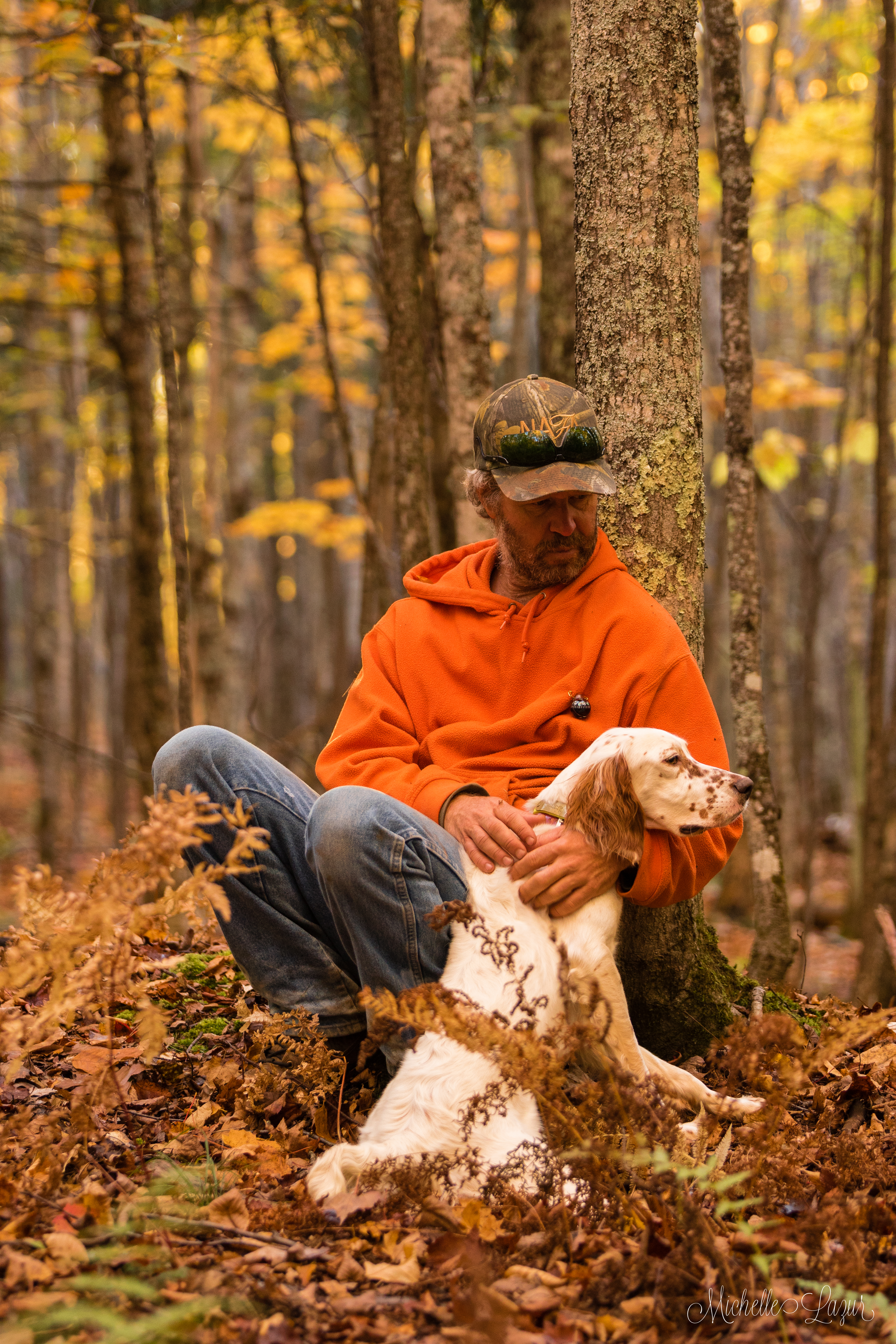 Llewellin Setter, Penny, after a lovely October Ruffed Grouse hunt.