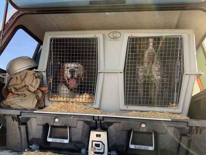 Best Kennels for traveling safely with your upland hunting dog.