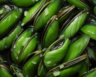 Image of green lipped mussels