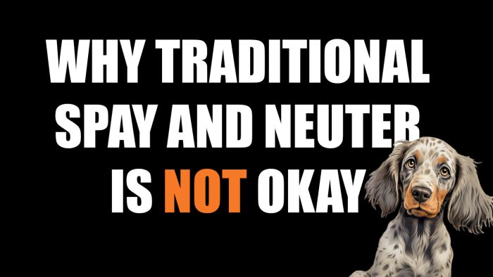 the World Small Animal Veterinary Association (WSAVA) made a groundbreaking decision in May 2024: they no longer endorse conventional spaying and neutering, signaling a paradigm shift in veterinary care.